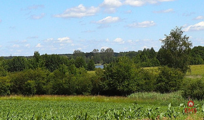 Działka budowlana na Mazurach Rożyńsk Wielki - Rożyńsk Wielki  -
Warmińsko-Mazurskie Zdjęcie nr 8