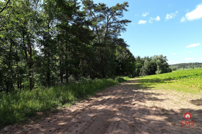 Działka budowlana na Mazurach Rożyńsk Wielki - Rożyńsk Wielki  -
Warmińsko-Mazurskie Zdjęcie nr 4