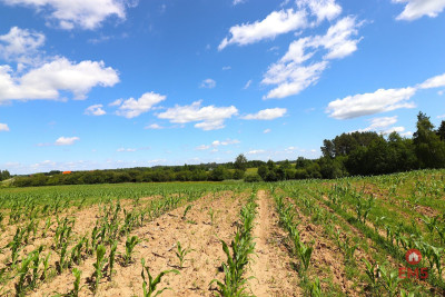 Działka budowlana na Mazurach Rożyńsk Wielki - Rożyńsk Wielki  -
Warmińsko-Mazurskie Zdjęcie nr 8