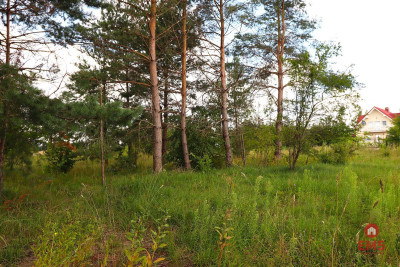 Działka budowlana pod Suwałkami - Białorogi  -
Podlaskie Zdjęcie nr 13