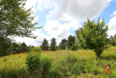 Działka budowlana pod Suwałkami - Białorogi  -
Podlaskie Zdjęcie nr 5