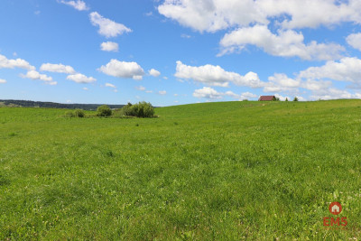Działka rolno budowlana gmina Rutka-Tartak - Olszanka  -
Podlaskie Zdjęcie nr 10
