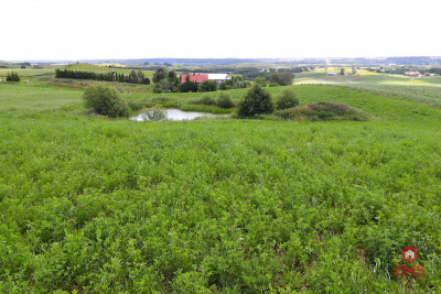 Działka rolno budowlana gmina Rutka-Tartak - Olszanka  - Podlaskie