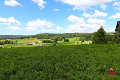 Działka rolno budowlana gmina Rutka-Tartak - Olszanka  -
Podlaskie Zdjęcie nr 7