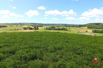 Działka rolno budowlana gmina Rutka-Tartak - Olszanka  -
Podlaskie Zdjęcie nr 8