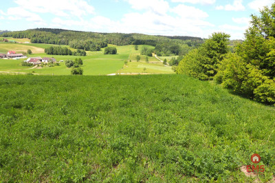 Działka rolno budowlana gmina Rutka-Tartak - Olszanka  -
Podlaskie Zdjęcie nr 9