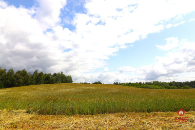 Działka rolno-budowlana Garbas II 55 ha - Garbas Drugi  -
Podlaskie Zdjęcie nr 3