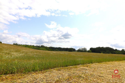 Działka rolno-budowlana Garbas II 55 ha - Garbas Drugi  -
Podlaskie Zdjęcie nr 5