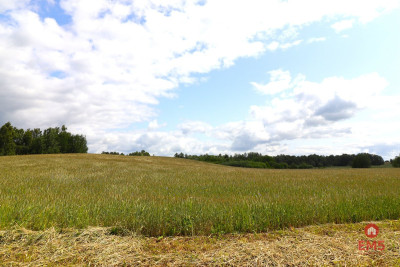 Działka rolno-budowlana Garbas II 55 ha - Garbas Drugi  -
Podlaskie Zdjęcie nr 6