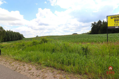 Działka na Mazurach blisko jeziora - Rożyńsk Wielki  -
Warmińsko-Mazurskie Zdjęcie nr 9