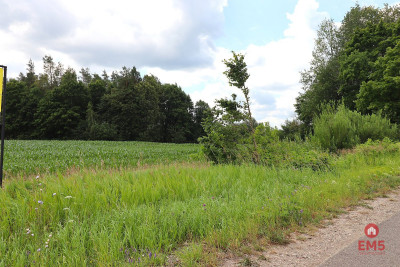 Działka na Mazurach blisko jeziora - Rożyńsk Wielki  -
Warmińsko-Mazurskie Zdjęcie nr 5