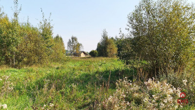 Ciasne Działka budowlana 5100 m2 - Ciasne  -
Podlaskie Zdjęcie nr 5