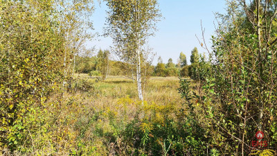Ciasne Działka budowlana 5100 m2 - Ciasne  -
Podlaskie Zdjęcie nr 7
