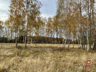 Sobolewo zaciszna  działka obok miasta - Sobolewo  - Podlaskie