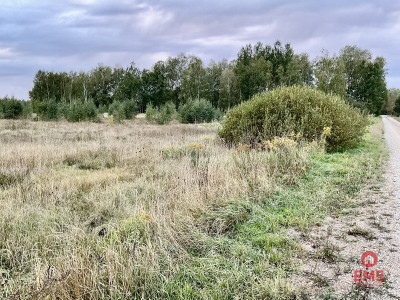 Sobolewo zaciszna  działka obok miasta - Sobolewo  -
Podlaskie Zdjęcie nr 2