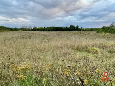 Sobolewo zaciszna  działka obok miasta - Sobolewo  -
Podlaskie Zdjęcie nr 3