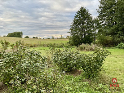 Nowodworce działka pod wymarzony dom lub inwestycj - Nowodworce  - Podlaskie