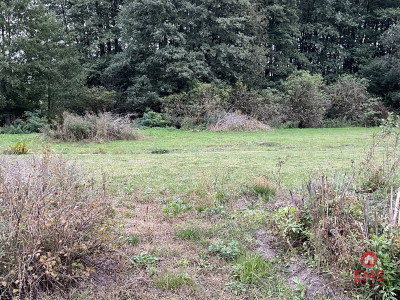 Nowodworce działka pod wymarzony dom lub inwestycj - Nowodworce  -
Podlaskie Zdjęcie nr 4