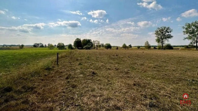 Działka budowlana 1000 m2 Rafałówka - Rafałówka  -
Podlaskie Zdjęcie nr 5