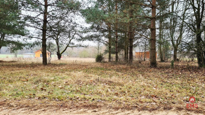 Działka 1743 m2 Pieńki - Pieńki  -
Podlaskie Zdjęcie nr 12