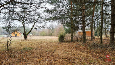 Działka 1743 m2 Pieńki - Pieńki  - Podlaskie