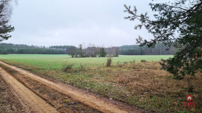 Działka 1743 m2 Pieńki - Pieńki  -
Podlaskie Zdjęcie nr 4