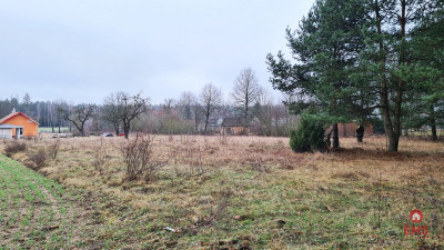 Działka 1743 m2 Pieńki - Pieńki  -
Podlaskie Zdjęcie nr 6