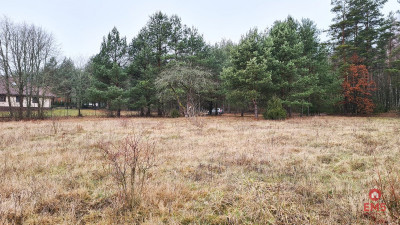 Działka 1743 m2 Pieńki - Pieńki  -
Podlaskie Zdjęcie nr 7