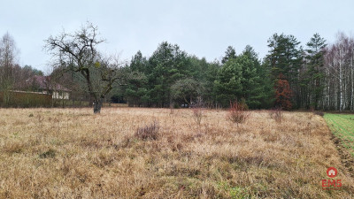 Działka 1743 m2 Pieńki - Pieńki  -
Podlaskie Zdjęcie nr 8