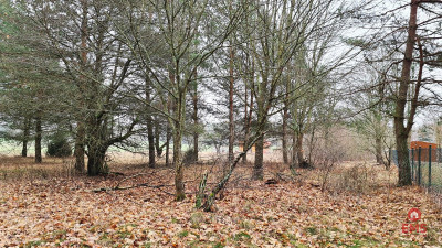 Działka 1900 m2 Pieńki - Pieńki  -
Podlaskie Zdjęcie nr 10