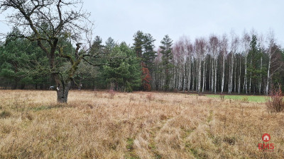 Działka 1900 m2 Pieńki - Pieńki  -
Podlaskie Zdjęcie nr 4