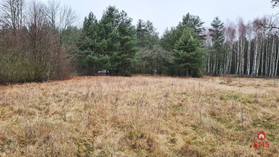 Działka 1900 m2 Pieńki - Pieńki  -
Podlaskie Zdjęcie nr 8