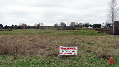 Działka rolno-budowlana 115 ha Królowy Most - Królowy Most  -
Podlaskie Zdjęcie nr 2