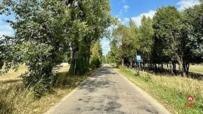 Działka budowlana 1425 m2 Rafałówka - Rafałówka  -
Podlaskie Zdjęcie nr 3