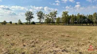 Działka budowlana 1425 m2 Rafałówka - Rafałówka  -
Podlaskie Zdjęcie nr 8