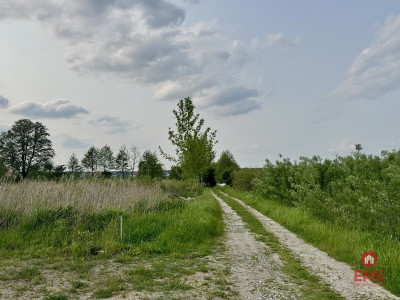 Działka w Nowodworcach - Nowodworce  -
Podlaskie Zdjęcie nr 7