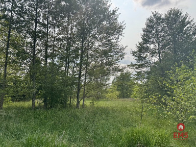 Działka w  Kosmatym Borku - Kosmaty Borek  -
Podlaskie Zdjęcie nr 3