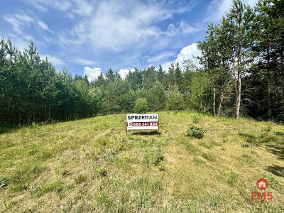 Działka budowlana w Karakulach - Karakule  -
Podlaskie Zdjęcie nr 2