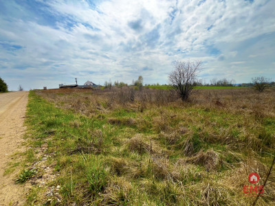 Królewskie Wzgórza 3 km od Białegostoku - Ogrodniki  -
Podlaskie Zdjęcie nr 5