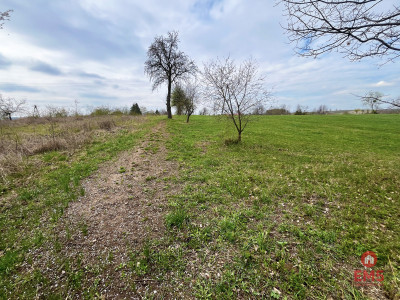 Królewskie Wzgórza 3 km od Białegostoku - Ogrodniki  -
Podlaskie Zdjęcie nr 6