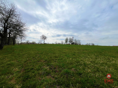 Królewskie Wzgórza 3 km od Białegostoku - Ogrodniki  -
Podlaskie Zdjęcie nr 2