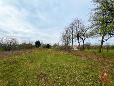 Królewskie Wzgórza 3 km od Białegostoku - Ogrodniki  -
Podlaskie Zdjęcie nr 3