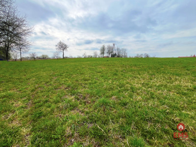 Królewskie Wzgórza 3 km od Białegostoku - Ogrodniki  -
Podlaskie Zdjęcie nr 7