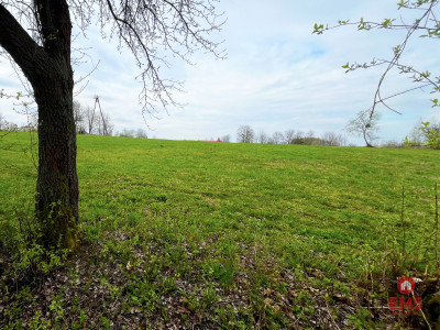 Królewskie Wzgórza 3 km od Białegostoku - Ogrodniki  -
Podlaskie Zdjęcie nr 8