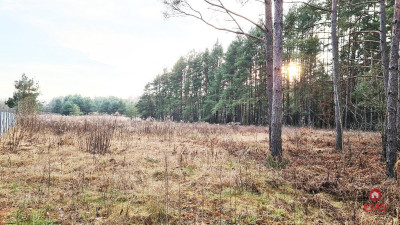 Działka 8500 m2 Jurowce - Jurowce  - Podlaskie