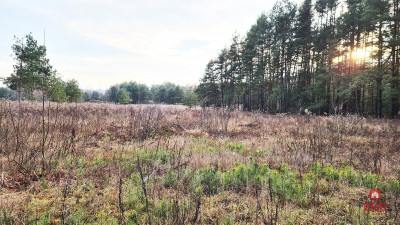 Działka 8500 m2 Jurowce - Jurowce  -
Podlaskie Zdjęcie nr 5