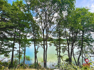 Działka budowlana - pierwsza linia w strefie ciszy - Dąbrówno  -
Warmińsko-Mazurskie Zdjęcie nr 2