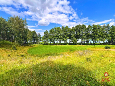 Działka budowlana - pierwsza linia w strefie ciszy - Dąbrówno  -
Warmińsko-Mazurskie Zdjęcie nr 3