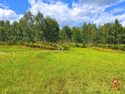 Działka budowlana - pierwsza linia w strefie ciszy - Dąbrówno  -
Warmińsko-Mazurskie Zdjęcie nr 7