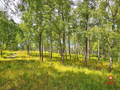 Działka budowlana blisko mazurskiego jeziora - Stare Miasto  -
Warmińsko-Mazurskie Zdjęcie nr 5